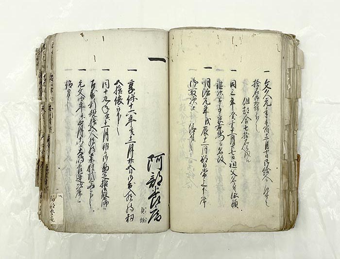 江戸時代の阿部養庵家